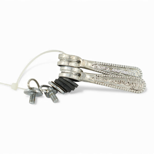 Vintage Campagnolo Record Downtube Shifters Silver Road Bike Part