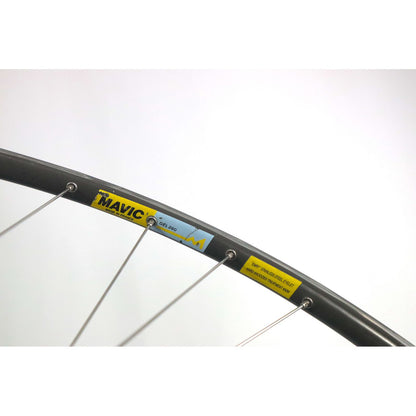 Campagnolo Brevetti Internazionali Front Hub On Mavic Gel 280 Rim