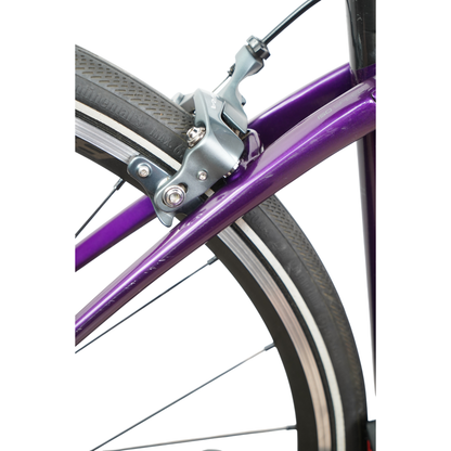2017 Trek Silque SLR 7 Carbon Di2 Women's Specific Rim Brake Road Bike - 52cm