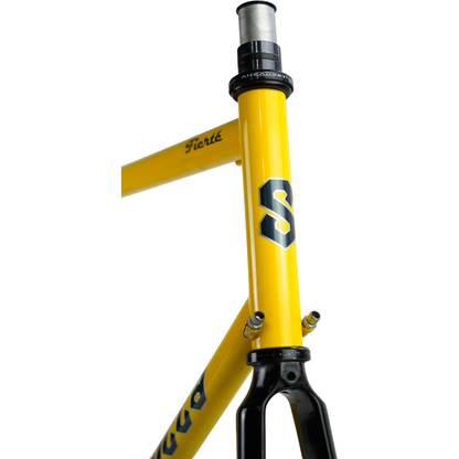 58cm Serotta Fierté 700c Rim Brake Steel Road Bike Frameset W/ Carbon Fork
