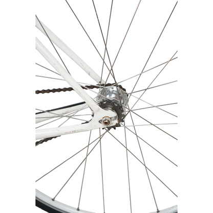 Bianchi Pista 700c Rim Brake Fixed Gear or Single Speed Track Bike