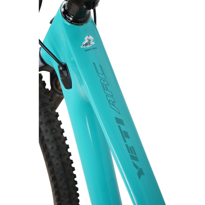 2022 Yeti ARC Turq T2 EXC AXS Carbon 29" Hardtail Mountain Bike - XL