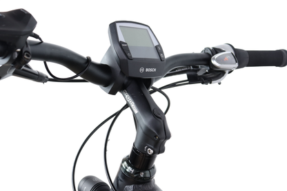 2018 Riese & Muller Roadster GT Disc Brake Bosch Performance E-Bike - Large