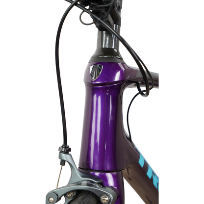 2017 Trek Silque SLR 7 Carbon Di2 Women's Specific Rim Brake Road Bike - 52cm