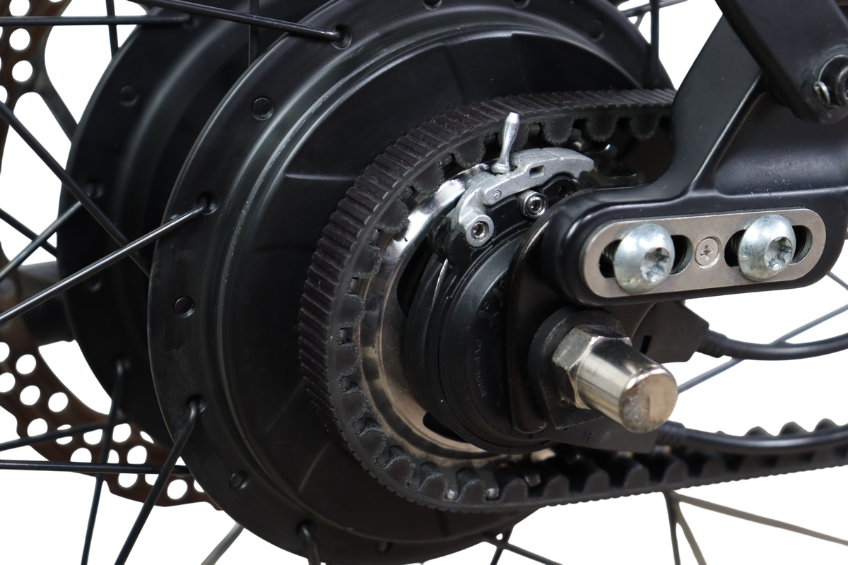 2018 Riese & Muller Roadster GT Disc Brake Bosch Performance E-Bike - Large
