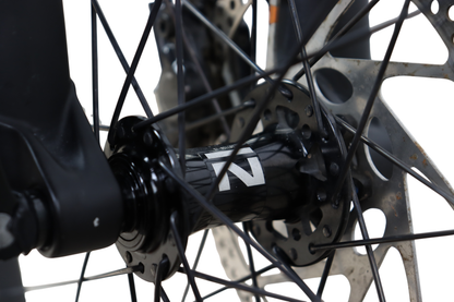 2018 Riese & Muller Roadster GT Disc Brake Bosch Performance E-Bike - Large