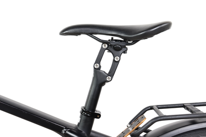 2018 Riese & Muller Roadster GT Disc Brake Bosch Performance E-Bike - Large