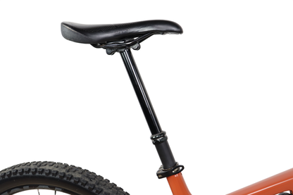 Santa Cruz Tallboy 3 CC Carbon Mountain Bike - 2018, Large