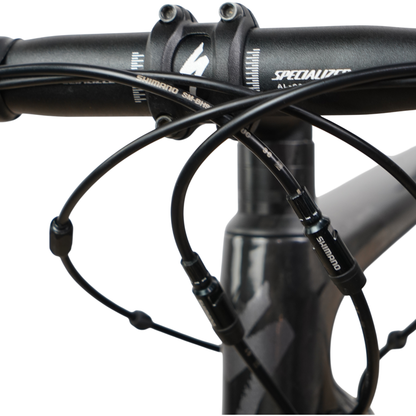 2022 Specialized Tarmac SL6 Sport Carbon Disc Brake 700c Road Bike - 52cm